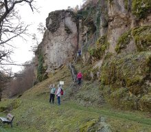Jahresabschlusswanderung im Pegnitztal – „Weitblicke genießen“